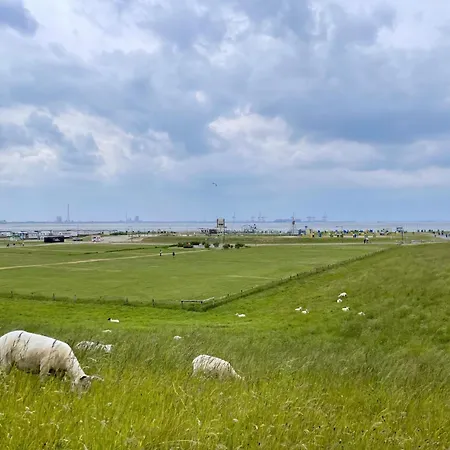 Kueste33-6 Lufi アパート *