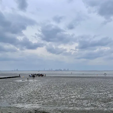 Kueste33-6 Lufi * ブットヤーディンゲン