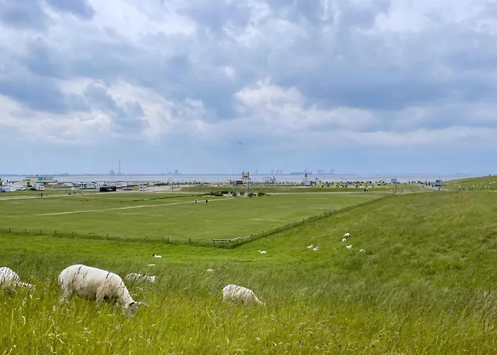 Kueste33-6 Lufi 公寓 *