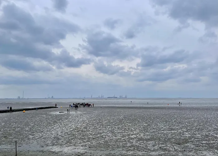 Kueste33-6 Lufi * 布特亚丁根